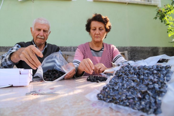 Konya'da emekli öğretmenler 'hasarlı kirazları' ekonomiye kazandırıyor