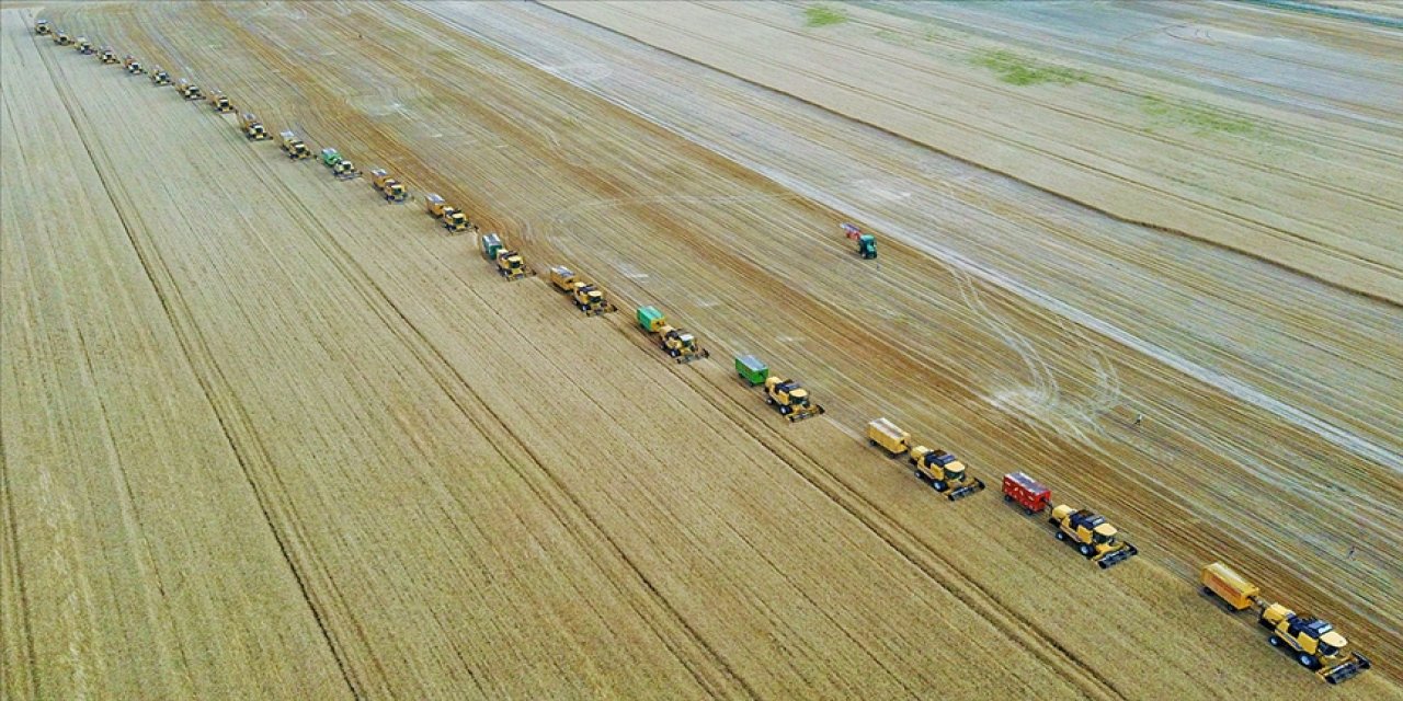 Tarım ve hayvancılıkta Türkiye'nin ilk ortak araştırma merkezleri kuruluyor