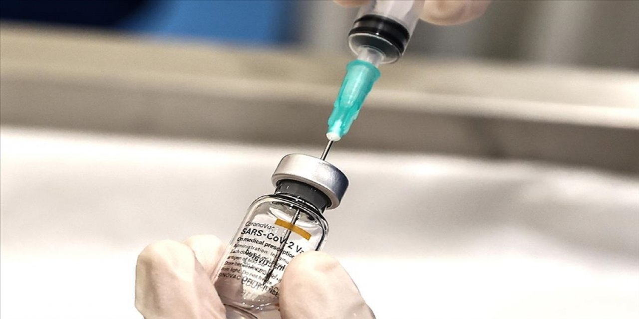 Mutasyon, Türkiye'nin kullandığı Kovid-19 aşılarının etkinliğini azaltır mı? Prof. Dr. Demirer açıkladı