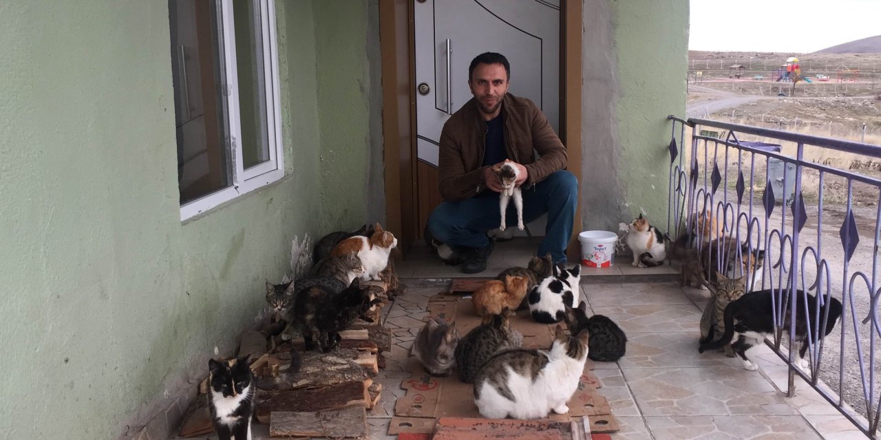 Konya'nın kedi dostu imamı: Evinde 30 kedi besliyor