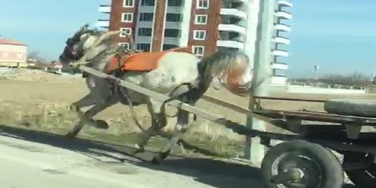 VİDEO I Yer Konya! Başıboş at, araba bağlı halde dörtnala böyle koşturdu