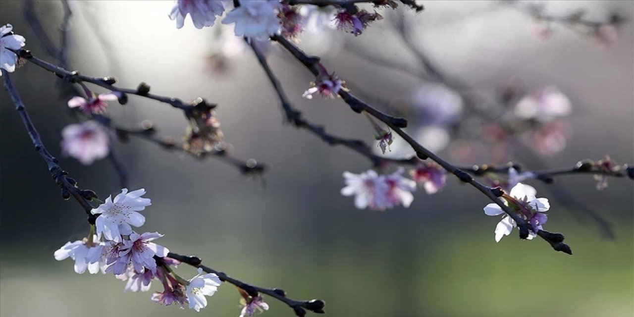 Baharın habercisi olan cemreler havaya, suya ve toprağa ne zaman düşecek?