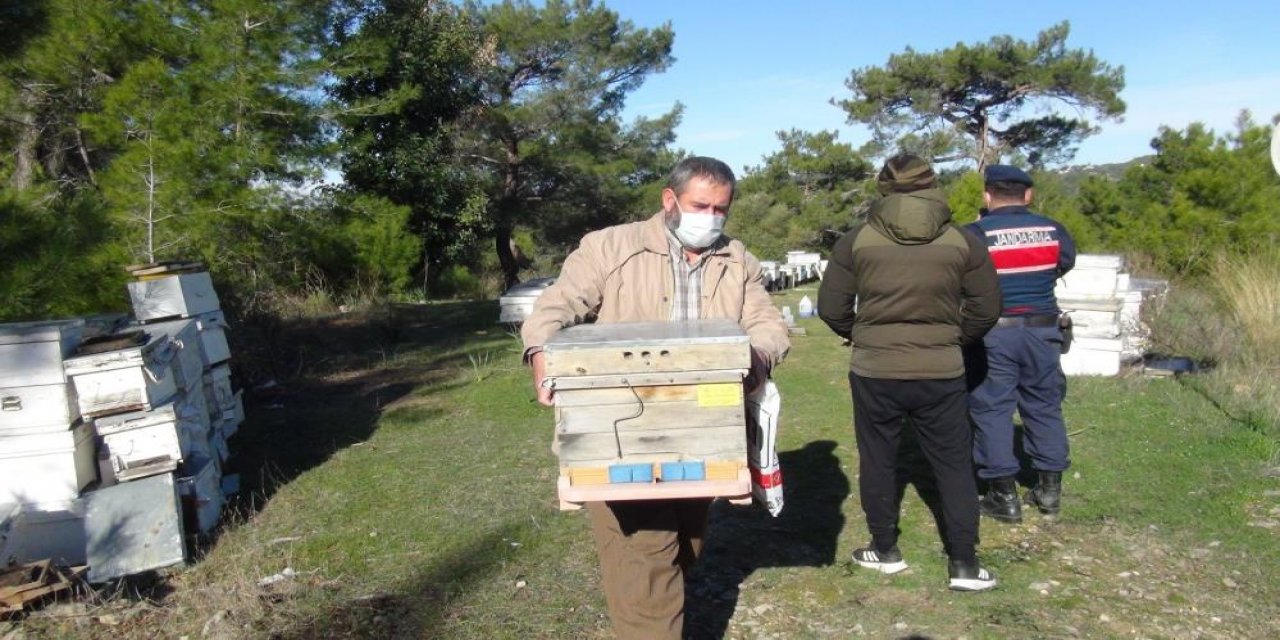 Konyalı arıcı dedektif gibi 200 kilometre iz sürüp, çalınan arılarını buldu