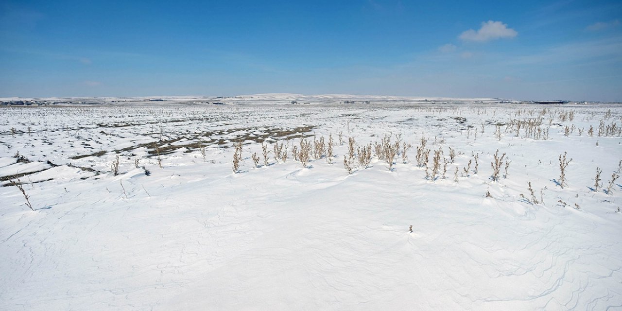 Son kar yağışları Konya Ovası'nda çiftçiye umut oldu