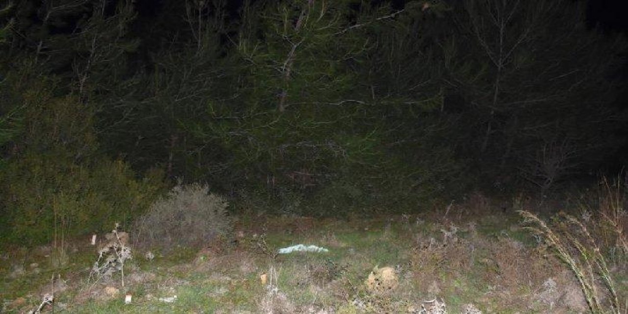 Korkunç cinayet ortaya çıktı! Genç kadının cesedi ormanlık alanda battaniyeye sarılı halde bulundu