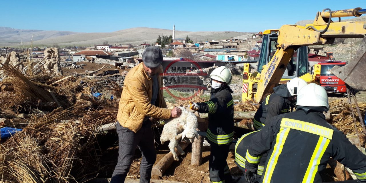 Konya’da ağılın çatısı çöktü, 112 küçükbaş hayvan altında kaldı