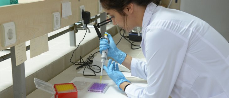 Selçuk Üniversitesi doğal kaynaklı kanser ilacı adayı geliştiriyor