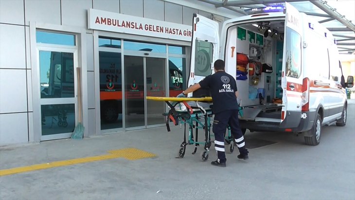 Ceviz hasadı başladı, düşme vakası arttı