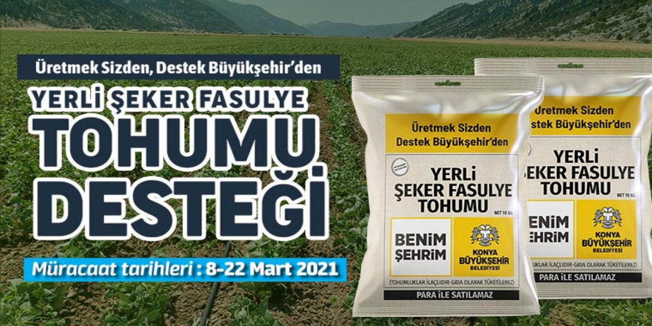 Konya Büyükşehir’den üreticiye yerli şeker fasulye tohumu desteği! Başvurular başladı