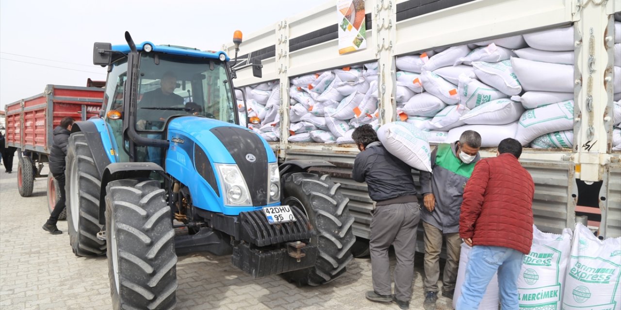 Konya'da 200 ton sertifikalı yerli mercimek tohumu çiftçilere dağıtıldı