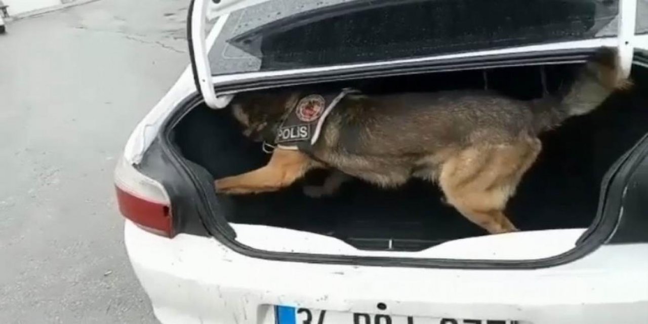 Konya polisinin narkotik köpeği Alex, 750 gram esrarı böyle buldu