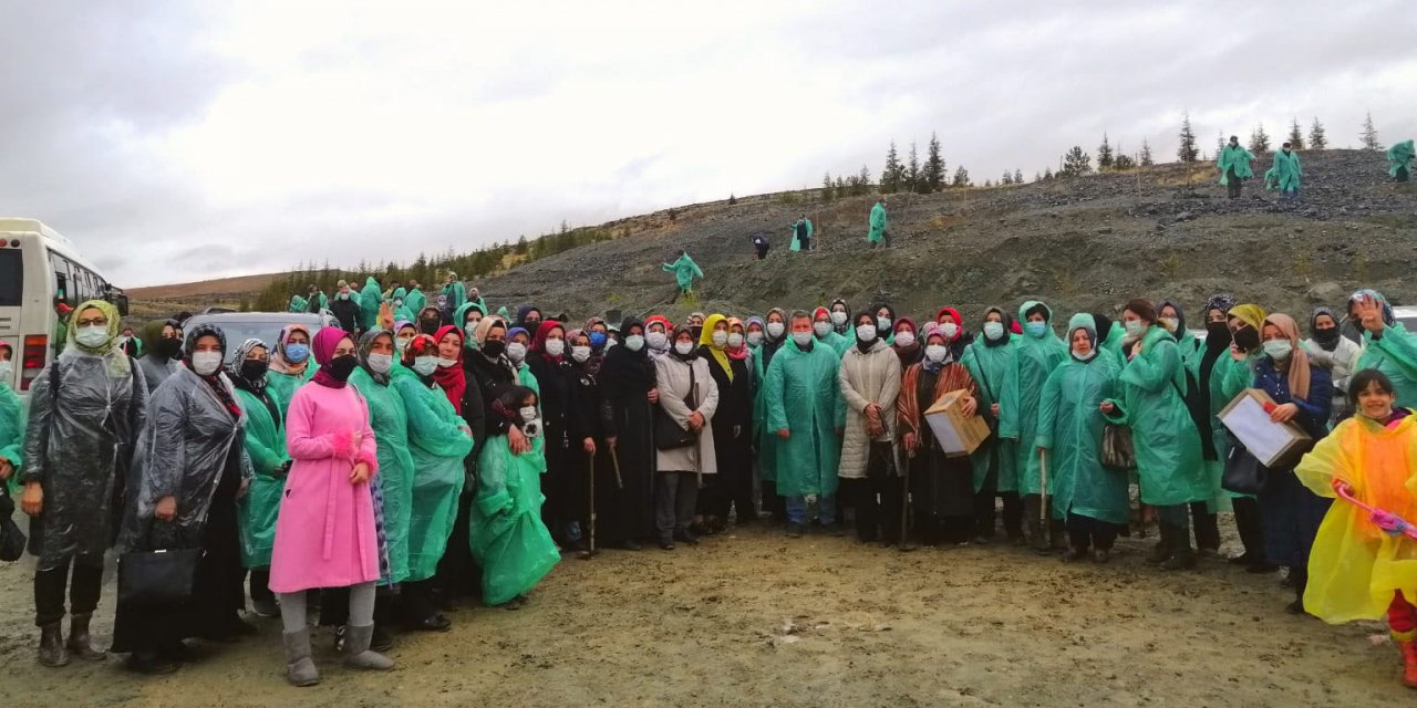 Konya’da STK’lar binlerce fidanı toprakla buluşturdu