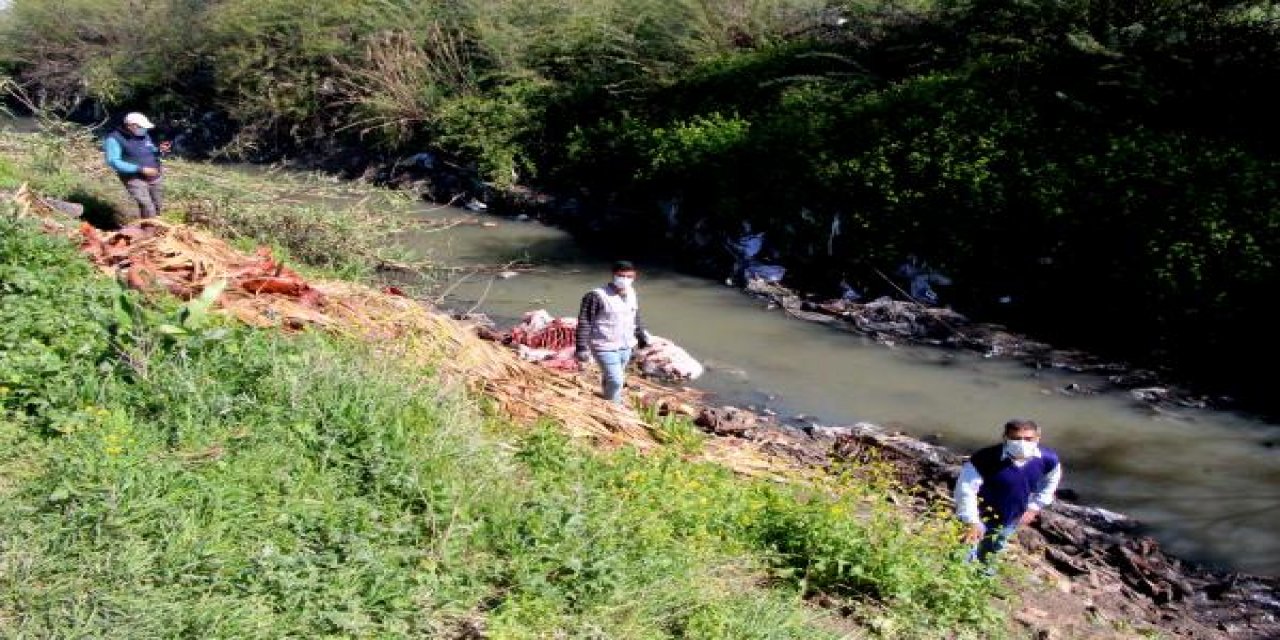 Dere yatağında çok sayıda at ve eşek kafasıyla kemikler bulundu