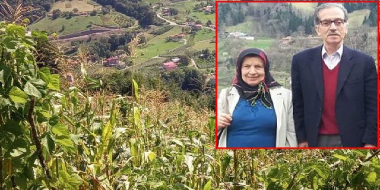 Bahçedeki eşini domuz zannedip öldürmüştü: Islık çaldım, tepki gelmeyince ateş ettim