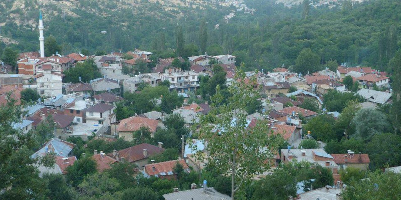Karaman'da Kovid-19 vakaları nedeniyle 1 köy karantina altına alındı