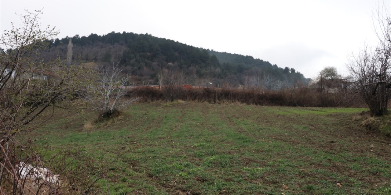 Arazi kavgası cinayetle bitti! 79 yaşındaki akrabasını öldürdü