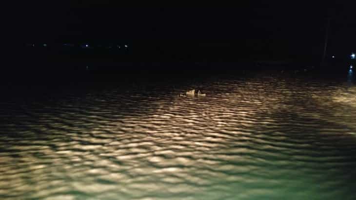 Ereğli’de sağanak yağış tarım işçilerini vurdu