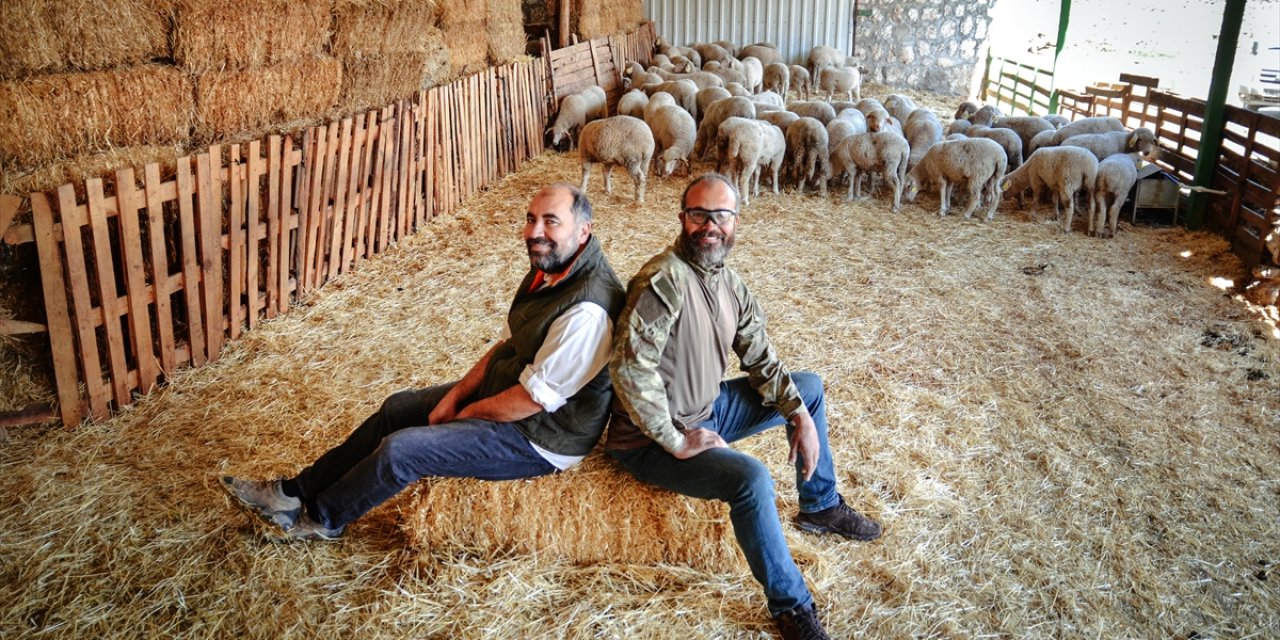 Kariyerlerini bırakıp Konya'ya dönen iki kardeş, 800 hayvanlı sürünün sahibi oldu