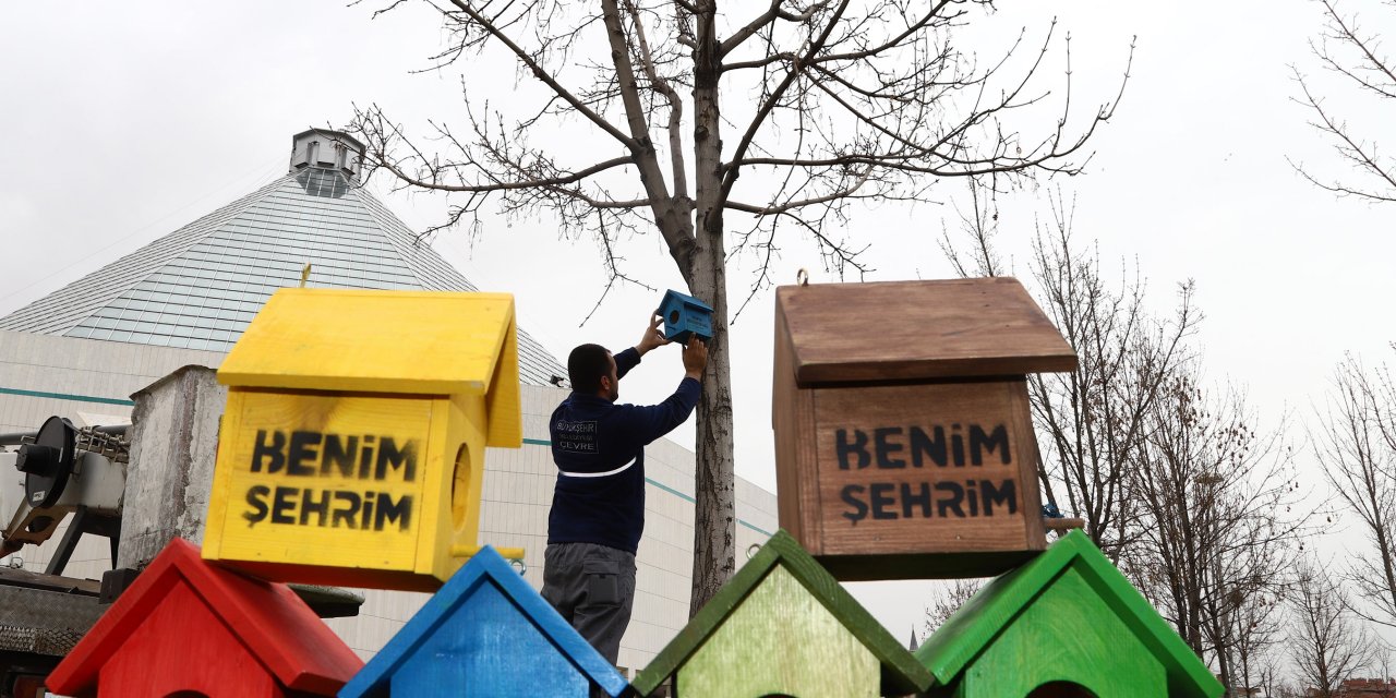 Konya'da şehir geneline kuş evleri yerleştirildi