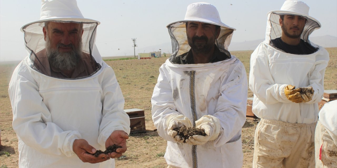 Konya'da 750 kovandaki binlerce arı telef oldu! Olayın nedeni üreticiyi isyan ettirdi