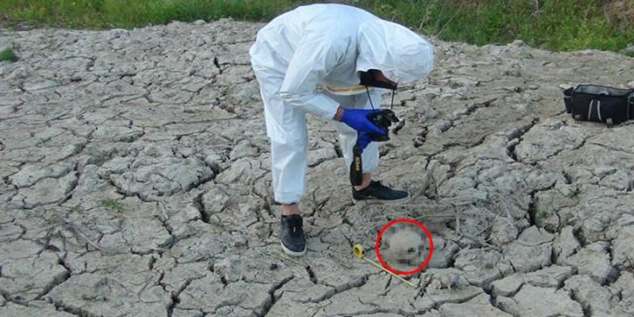 Tarlasında gördüklerine inanamayan köylü hemen telefona sarıldı