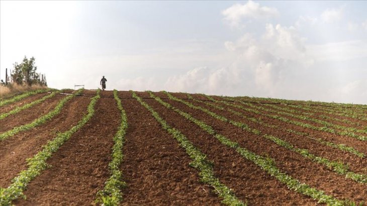 İsrail, Gazze'de tarım arazilerine zarar vermeye devam ediyor
