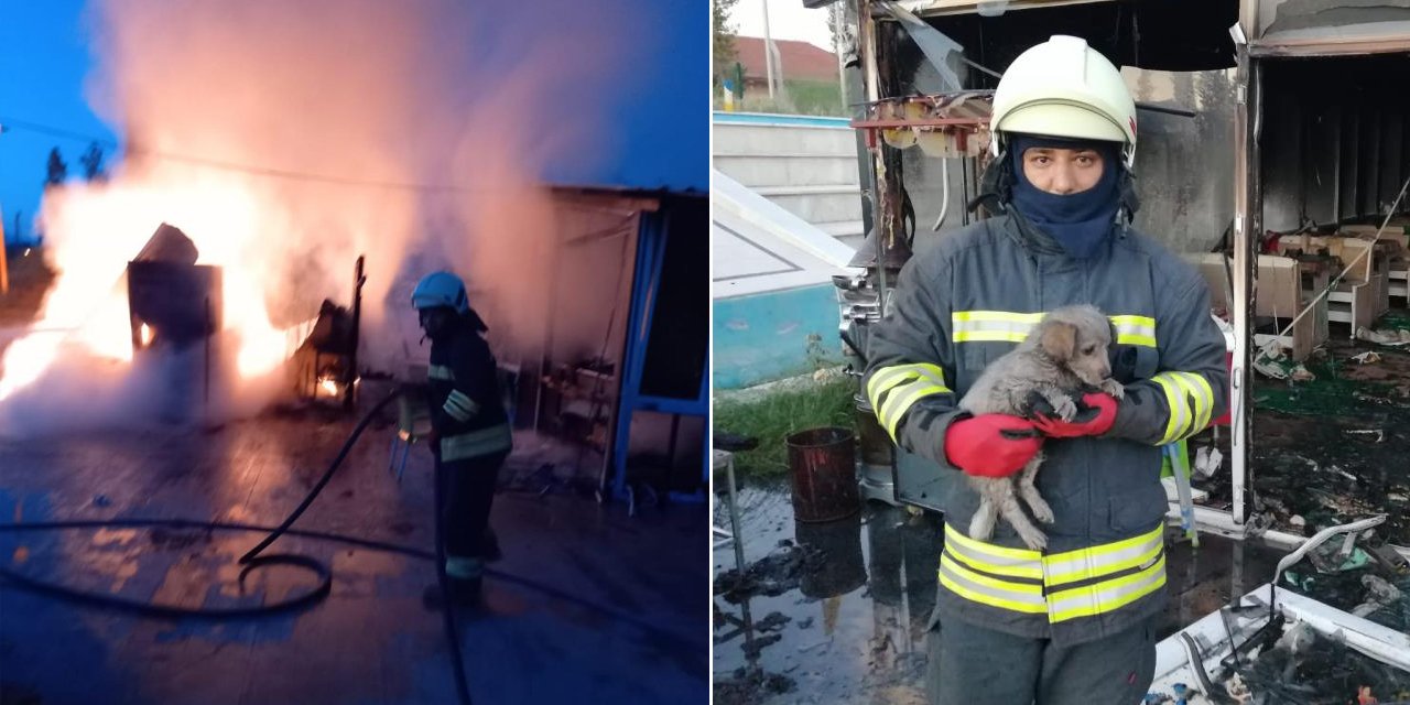 Konya'da büfe yandı, içerideki kediler ile köpeği itfaiye kurtardı