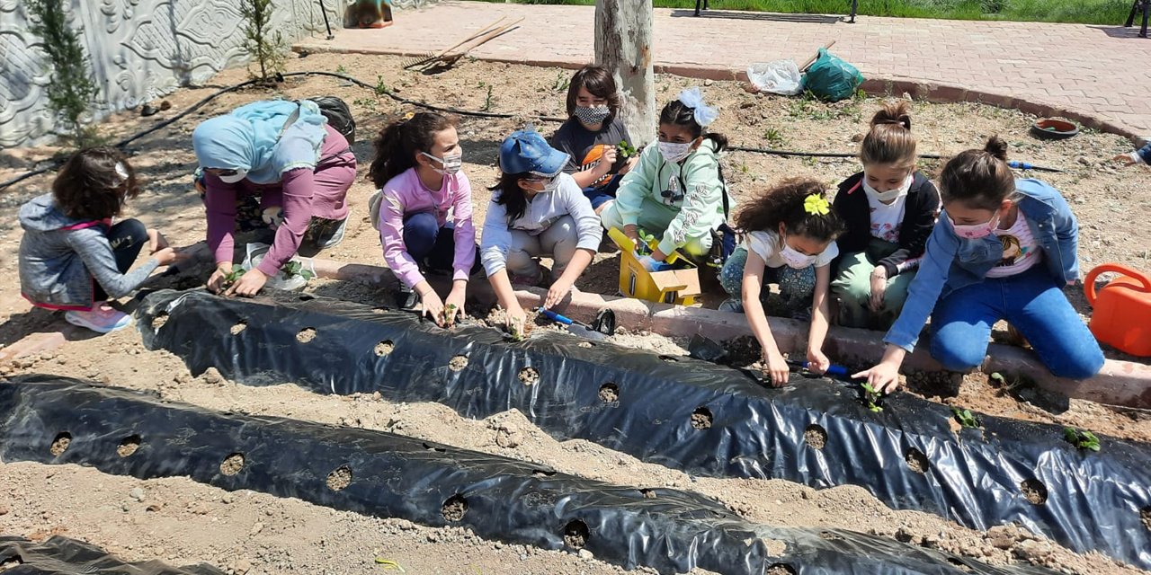 Konya'da ilkokul öğrencileri eTwinning projesiyle tarımsal üretim yaptı