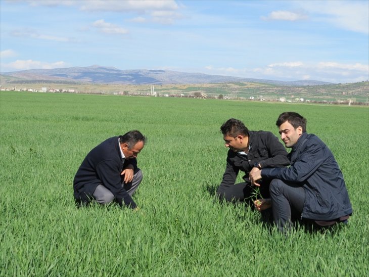 Yalıhüyüklü çiftçilere afet yardımı yapıldı