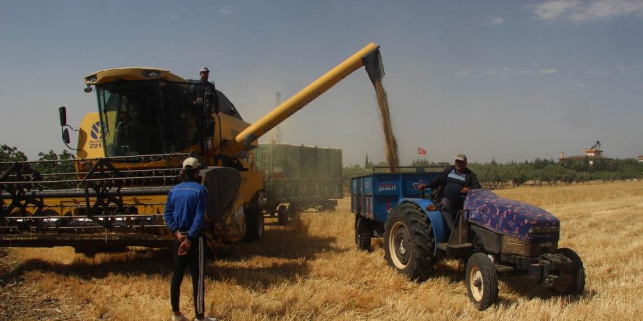 Konya'da hasat öncesi kırmızı sert buğday 2 bin 500 liradan işlem gördü