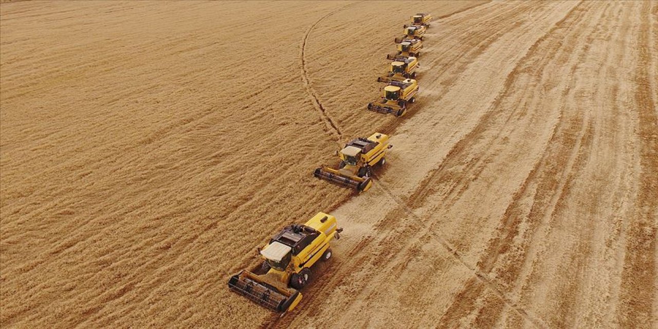Hasat hazırlığı yapılan Konya'da kırmızı sert buğdayın kilogramı 2,607 liradan işlem gördü