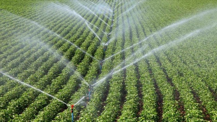 İzmirli çiftçiler modern sulamayla 415 milyon lira gelir sağladı