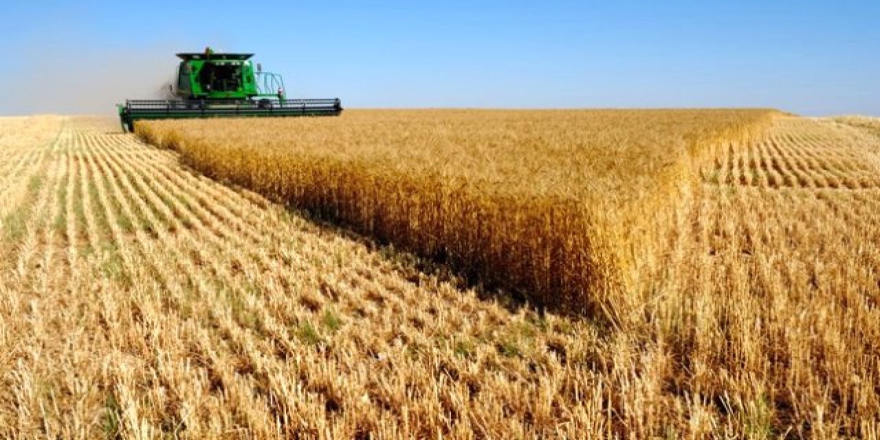 Konya'da arpa, buğday, mısır ve fasulye fiyatlarında son durum