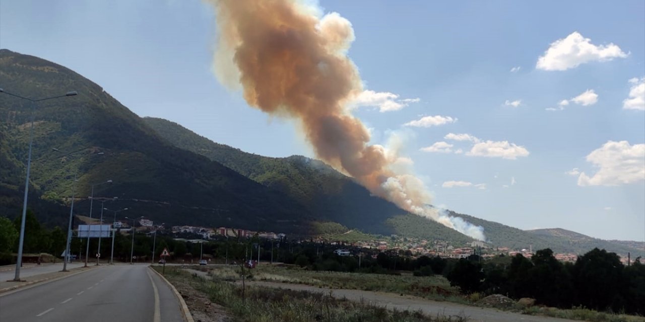 Marmaris'in ardından bir orman yangını da Denizli'de çıktı