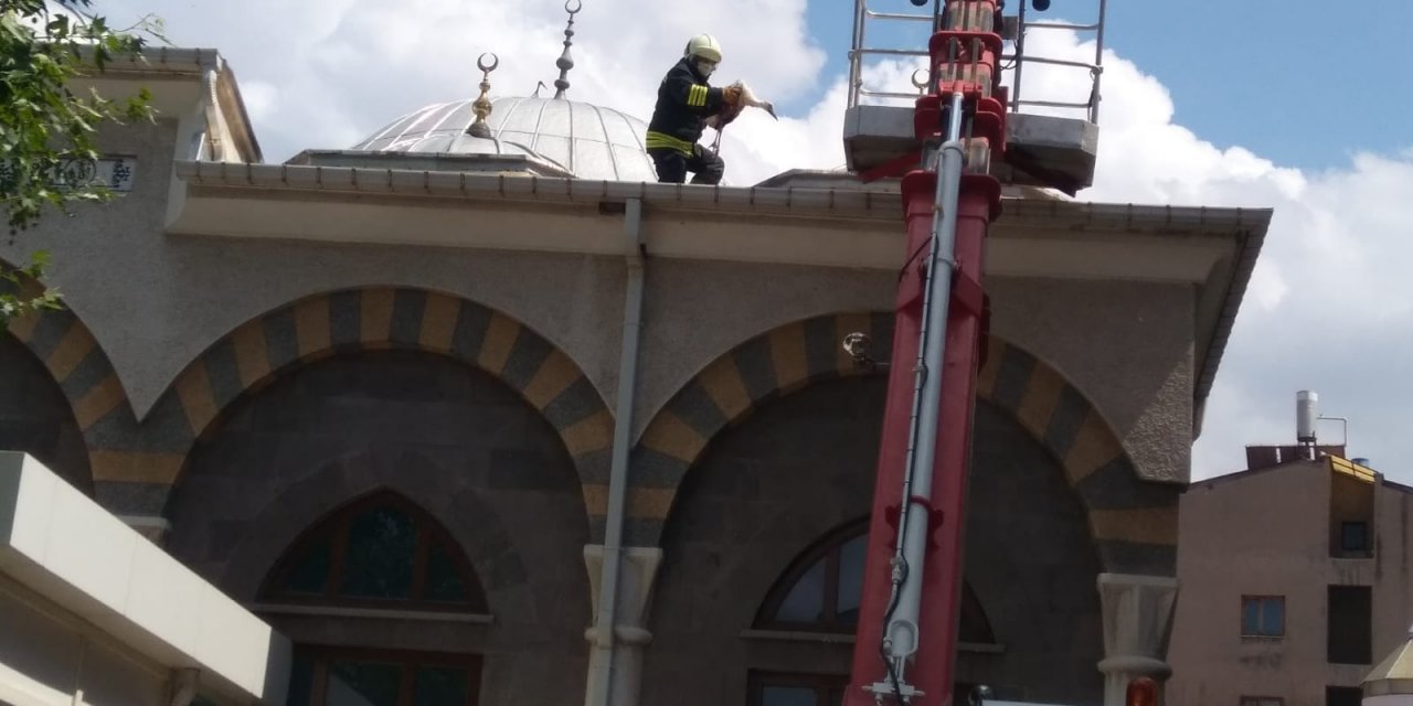 Konya'da yuvasından düşen yaralı yavru leyleği itfaiye kurtardı