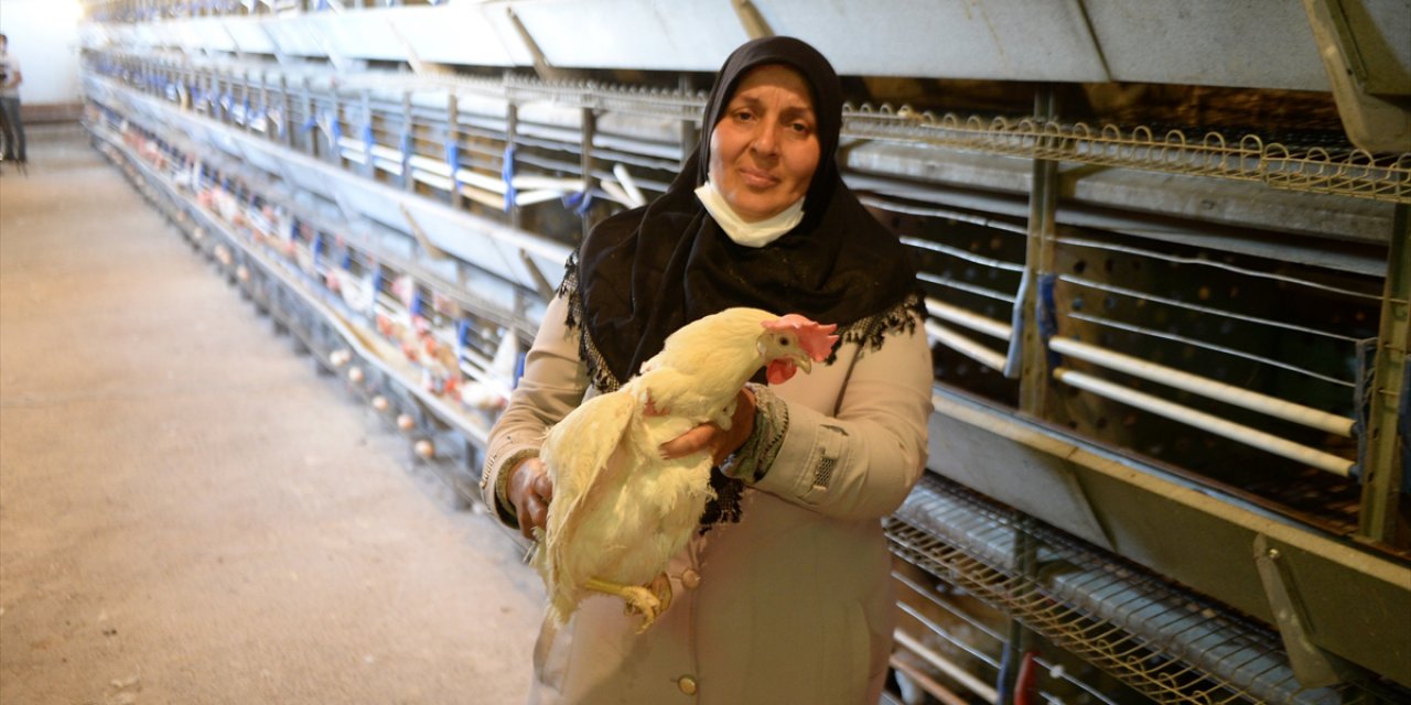 Tavukları ölen kadın girişimciye 5 bin hayvanla destek! Bakan aradı