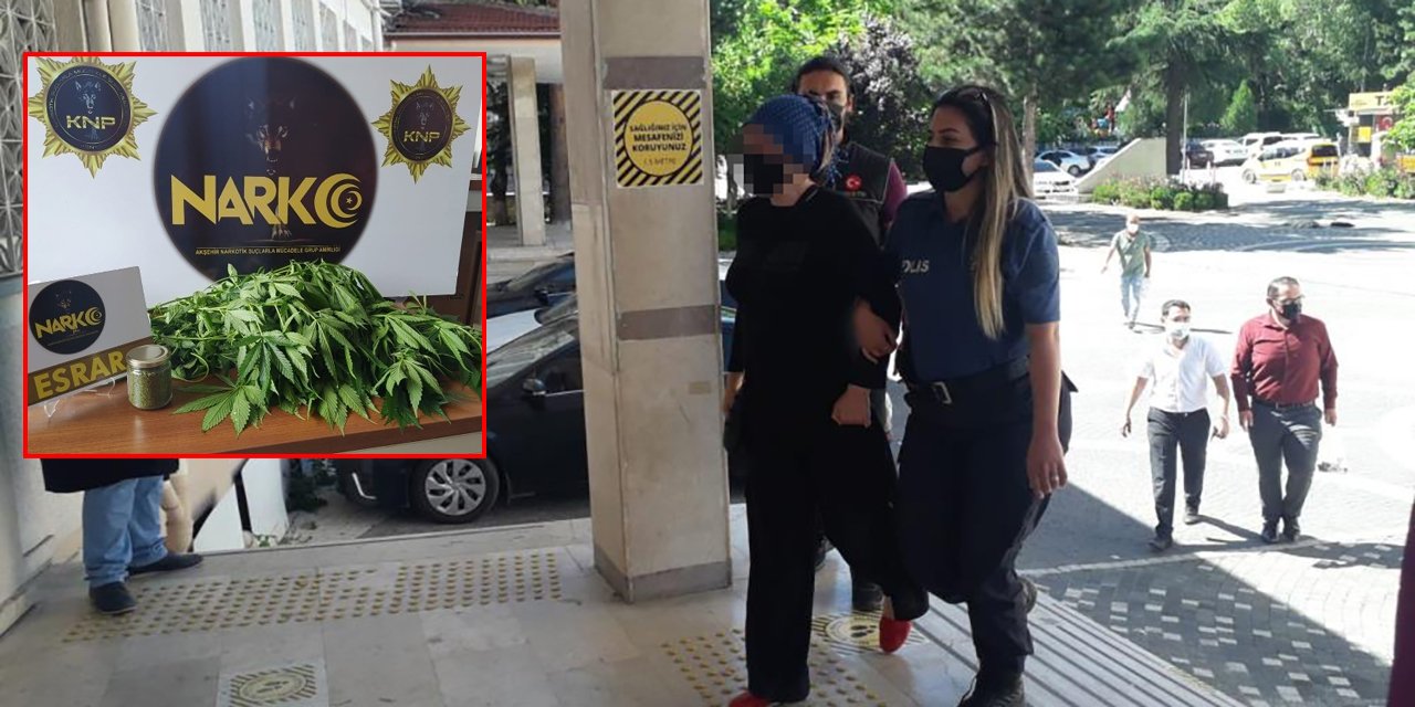 Konya’da evinde Hint keneviri yetiştiren kadın gözaltına alındı