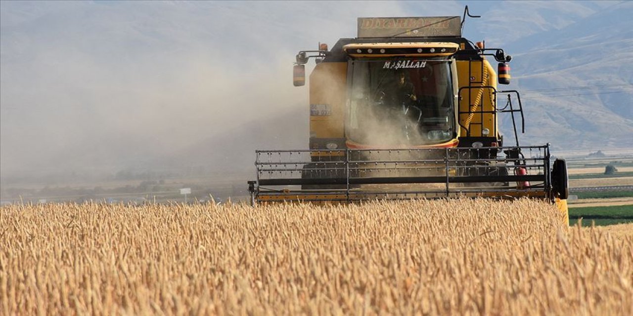 Hasat sürerken Konya'daki buğday ve arpa fiyatlarında son durum