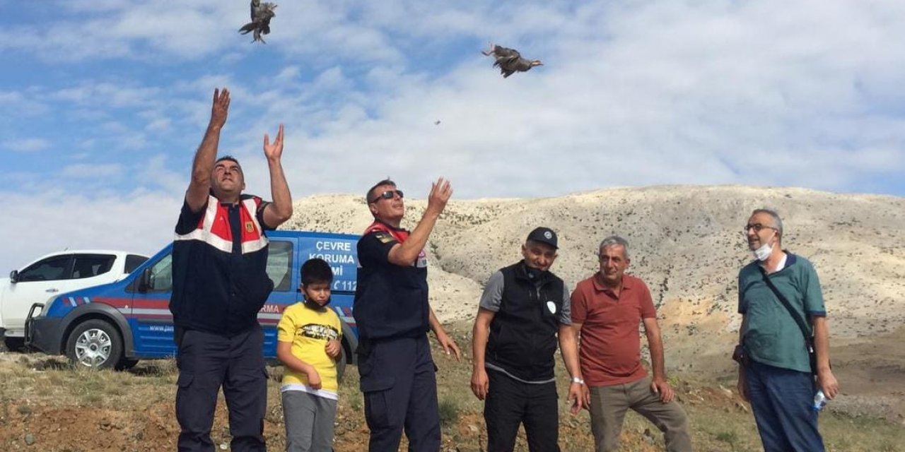 Jandarma ve Doğa Koruma ekipleri Konya’da doğaya keklik bıraktı