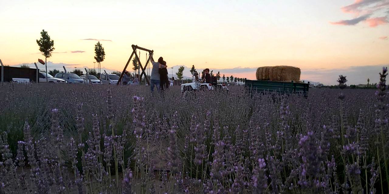 ÖZEL I Konya’nın Lavanta Bahçeleri ziyaretçi akınına uğruyor