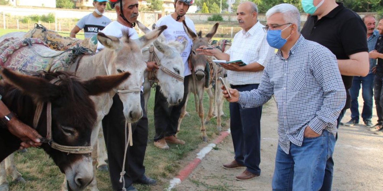 Konya’da eşekler yarıştı! Önce en hızlı olanı sonra en güzel gözlüsü seçildi