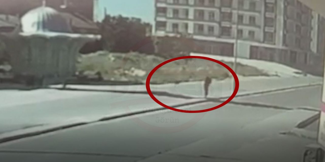 Konya’da sokak köpeklerinin saldırısına uğrayan kadın böyle kurtuldu