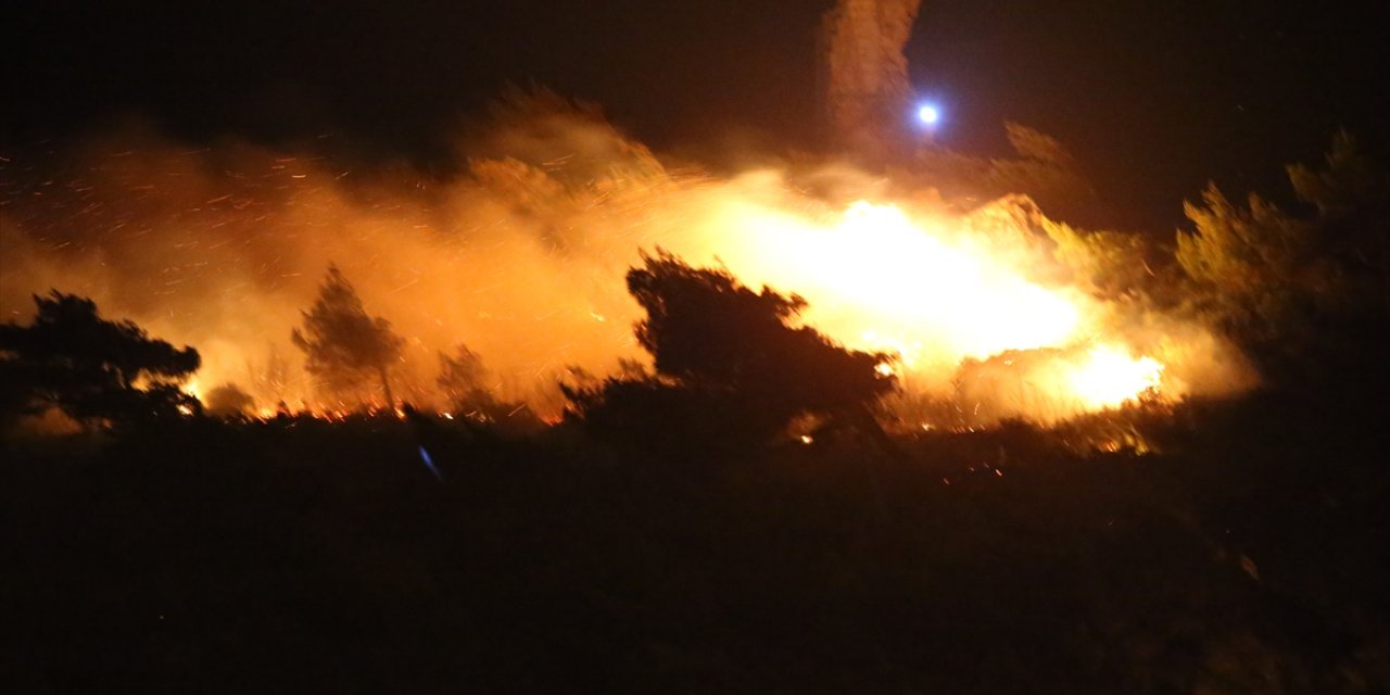 Antakya'daki orman yangını kontrol altına alındı