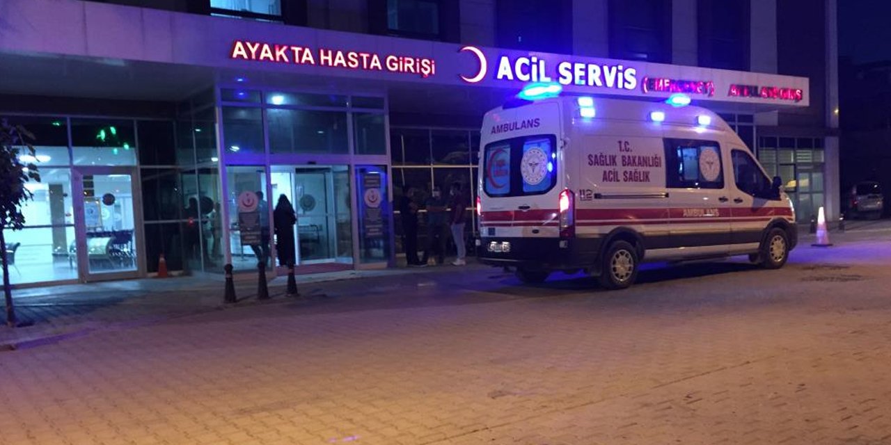Arıların saldırısına uğrayan 49 yaşındaki kişi Konya'da hayatını kaybetti