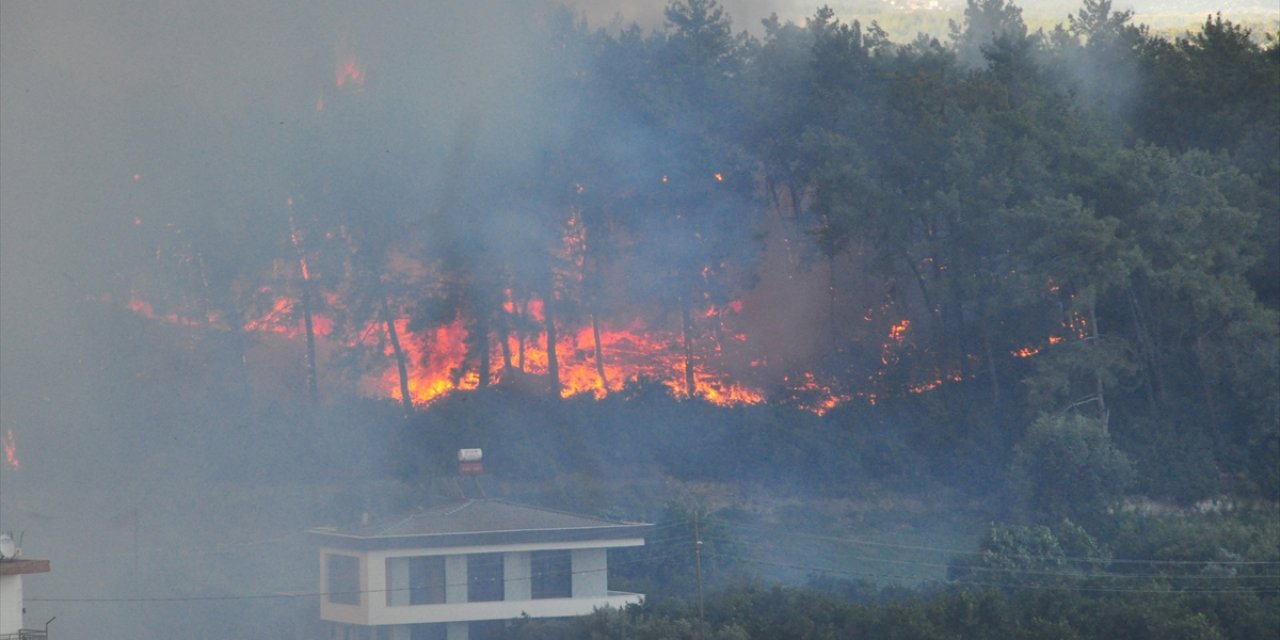 Manavgat Cumhuriyet Başsavcılığı yangınlarla ilgili soruşturma başlattı