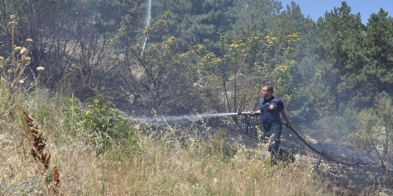 Konya'da otluk alanda başlayan yangın az kalsın ormanlık alana sıçrıyordu
