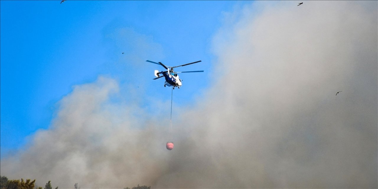 Ülke genelindeki 98 orman yangınının 88'i kontrol altına alındı