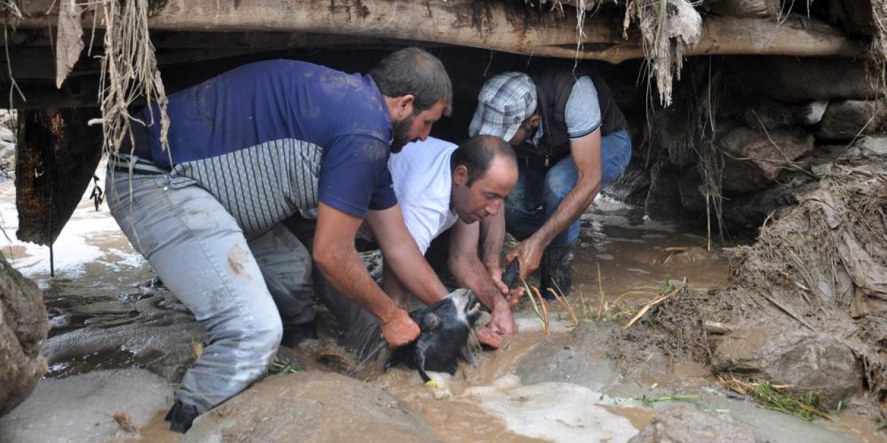 Hakkari’deki selde 500 koyun telef oldu