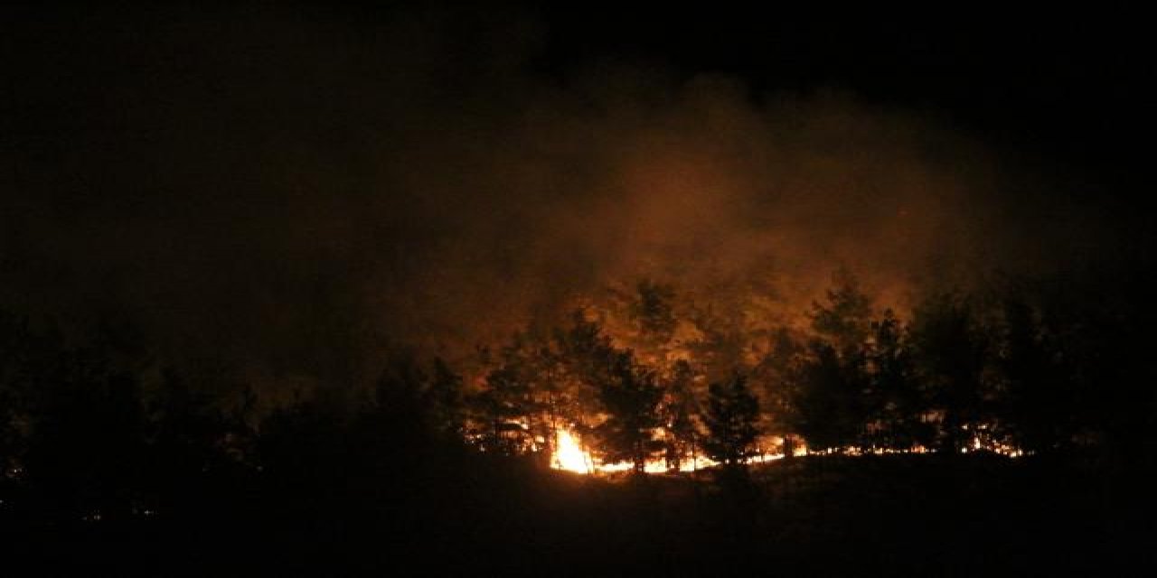 Manavgat'ta hareketli gece! Otel bölgesinde yeniden yangın başlayınca silahını alan ormanın içine koştu