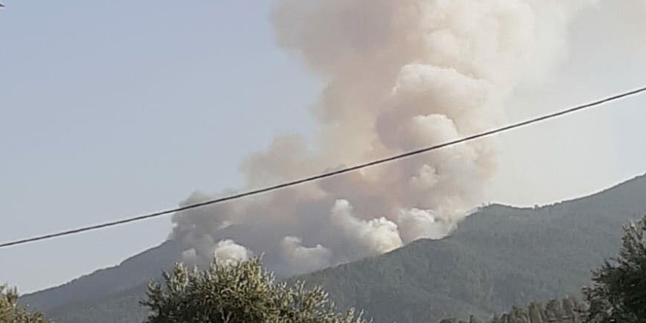 Aydın'ın iki ilçesinde orman yangını çıktı
